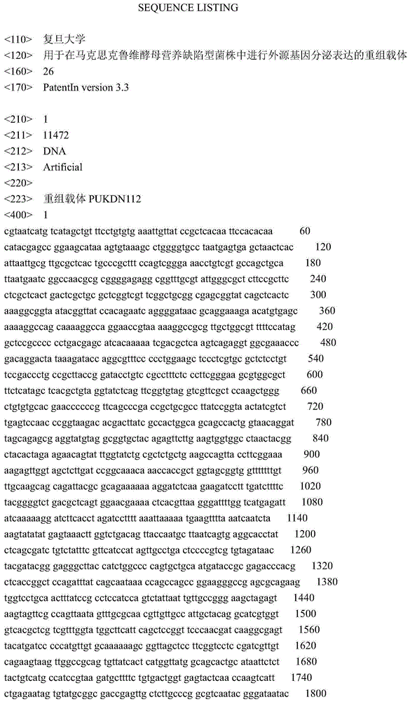 Recombinant vector used for carrying out foreign gene secretory expression in auxotrophic kluyveromyces marxianus strain