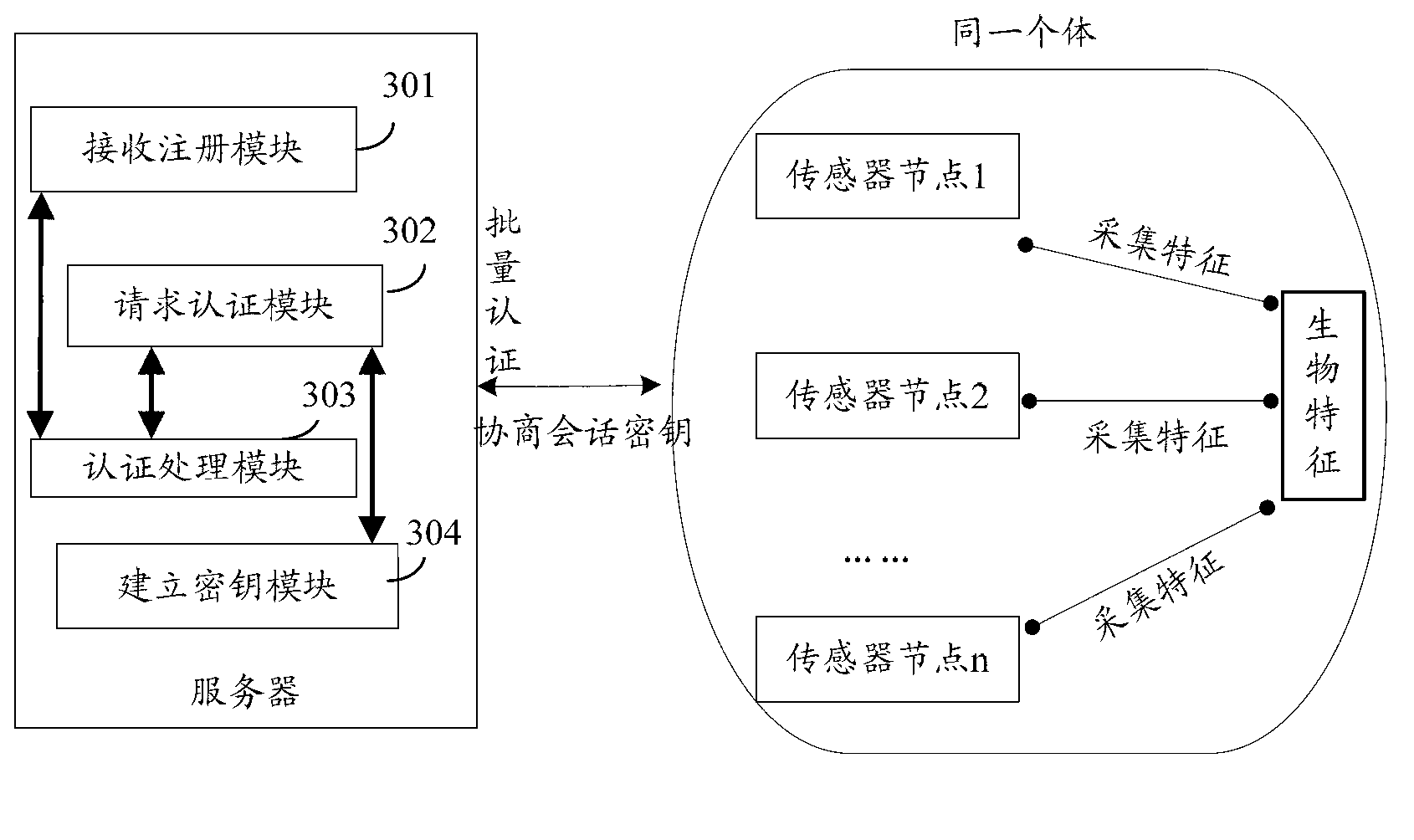 Method and server for identification in batches based on biological characteristics