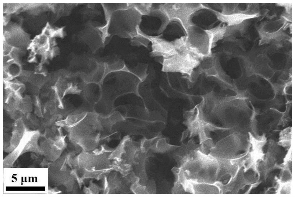 Chestnut shell-based biomass carbon material as well as preparation method and application thereof