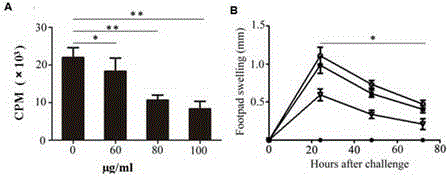 Exosomes derived from granulocytic myeloid-derived suppressor cell and application thereof