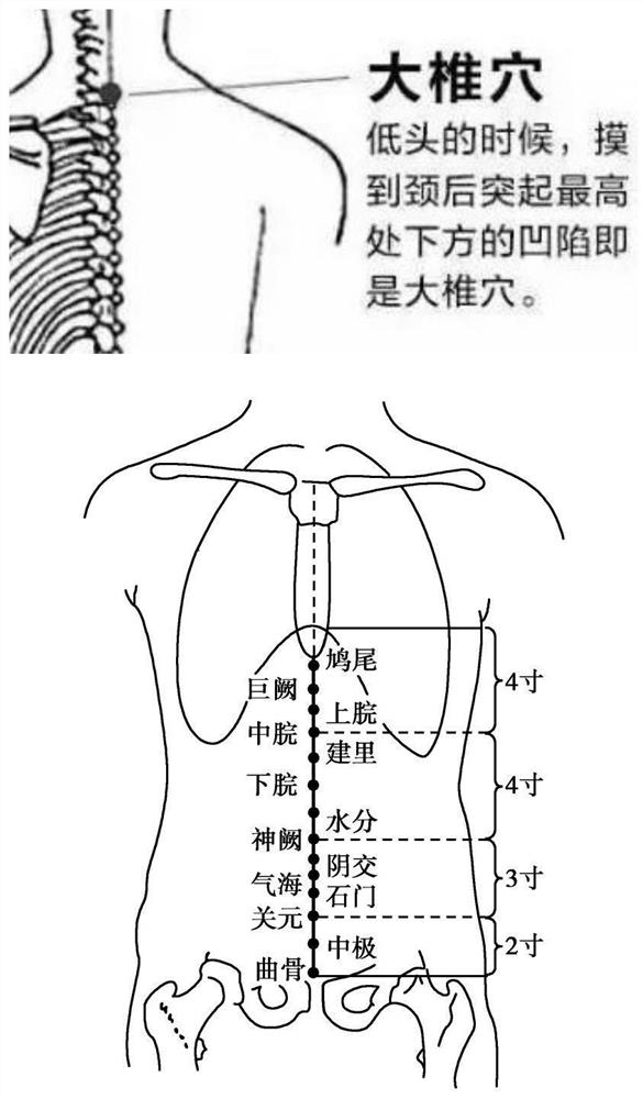 Traditional Chinese medicine yang-deficiency constitution acupoint patch and preparation method thereof