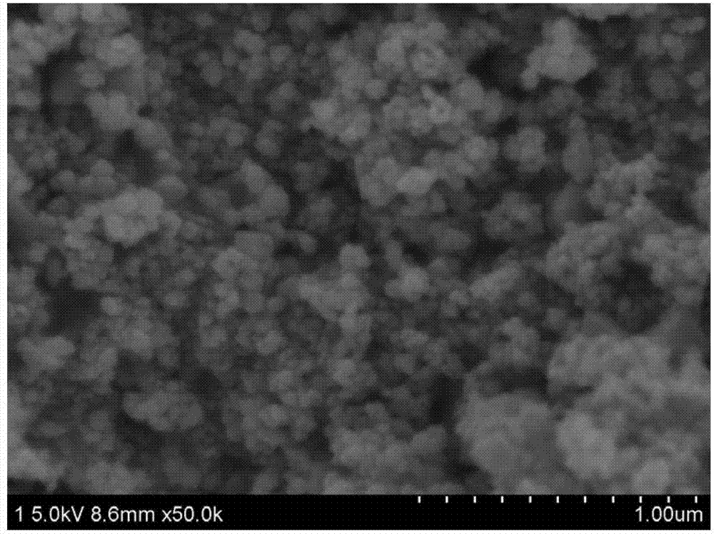 Waterproof and oil-proof magnetic tio2/fe3o4 composite particle and its preparation method and application