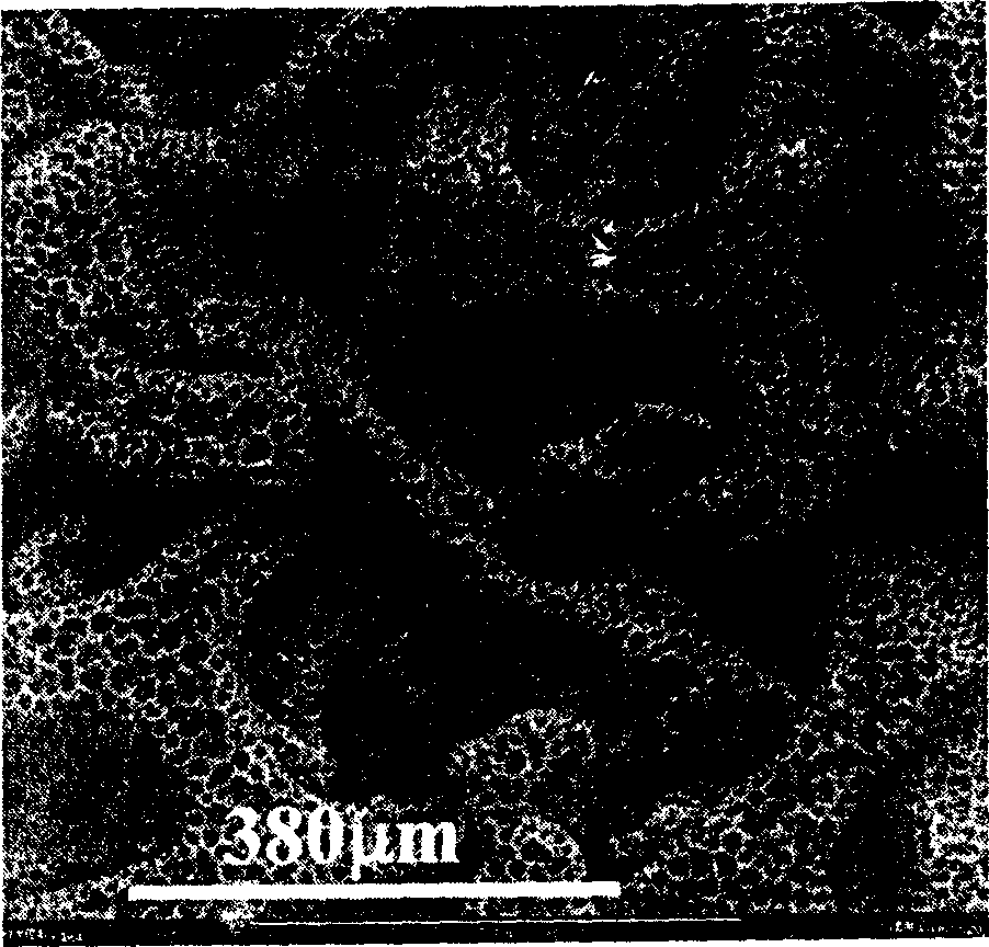 Lithium-ion film cell negative pole and preparing method