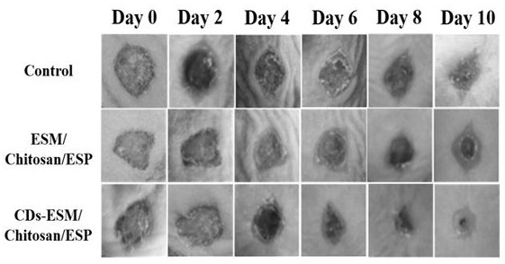 Wound hemostasis composite material as well as preparation method and application thereof