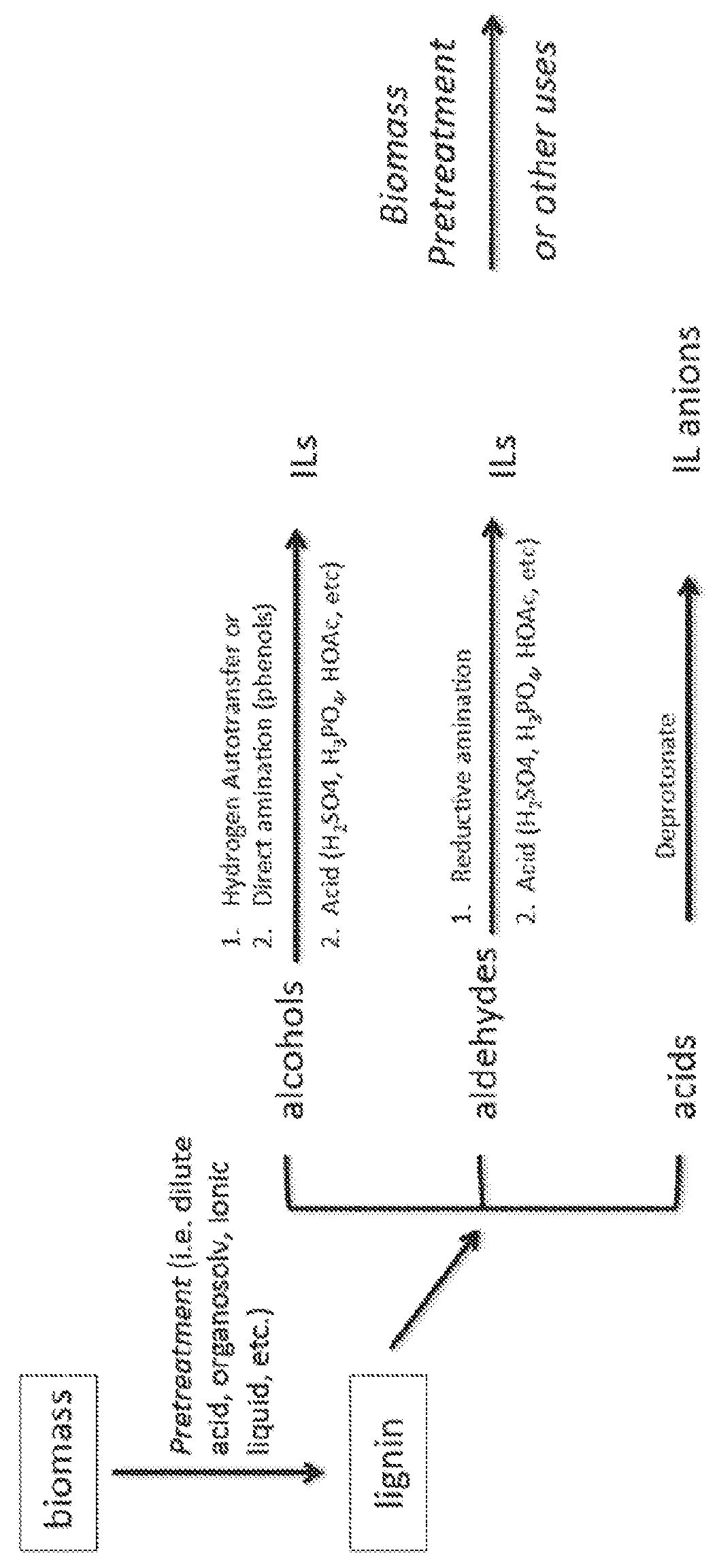 Synthesis of novel ionic liquids from lignin-derived compounds