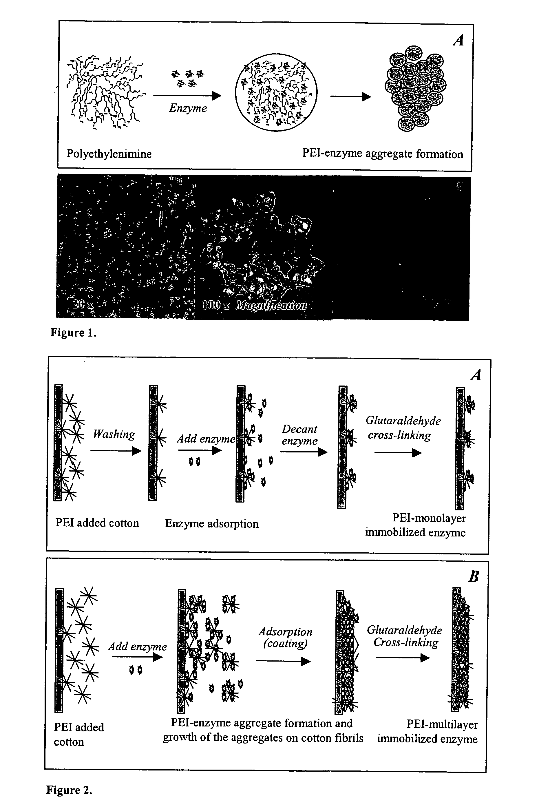 Immobilization of enzyme on a fibrous matrix