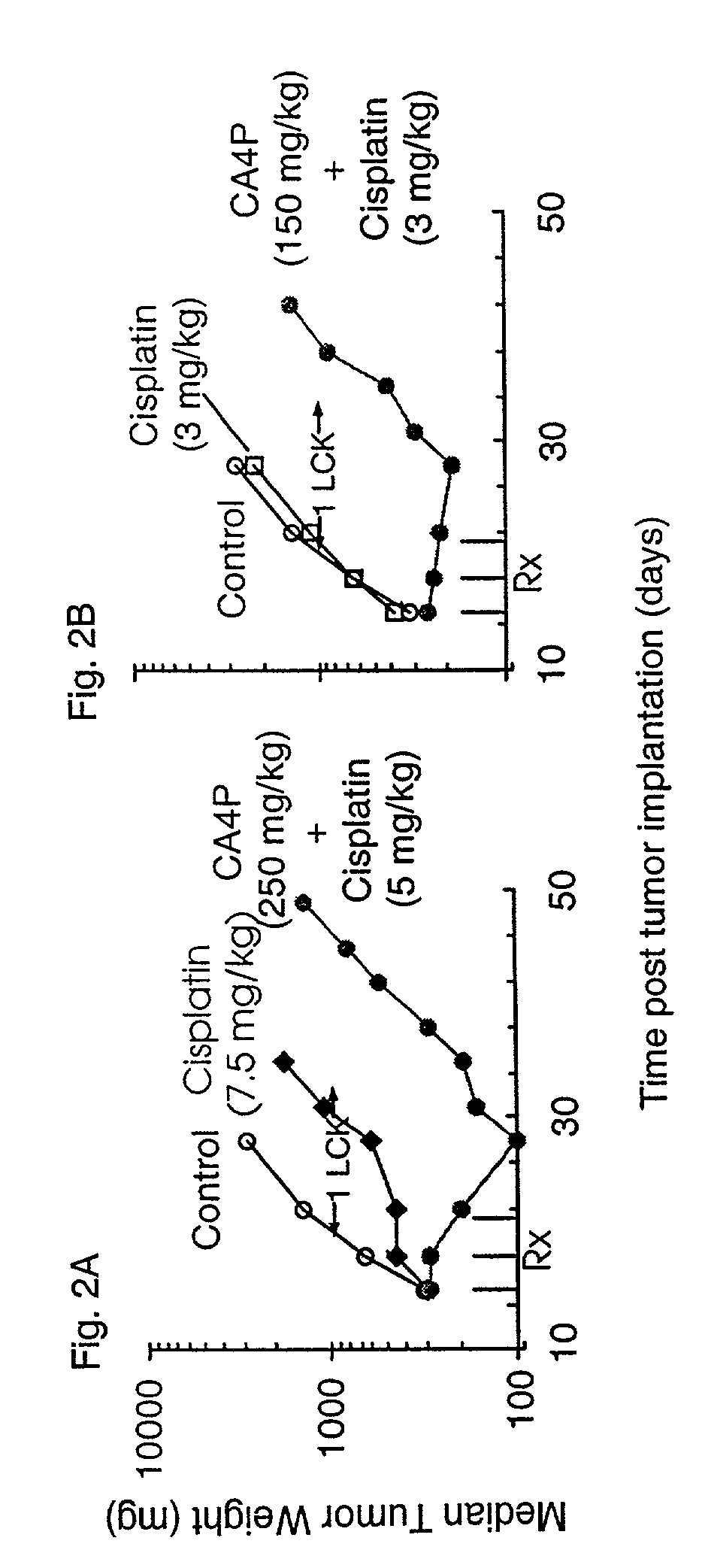 Methods for modulating tumor growth and metastasis