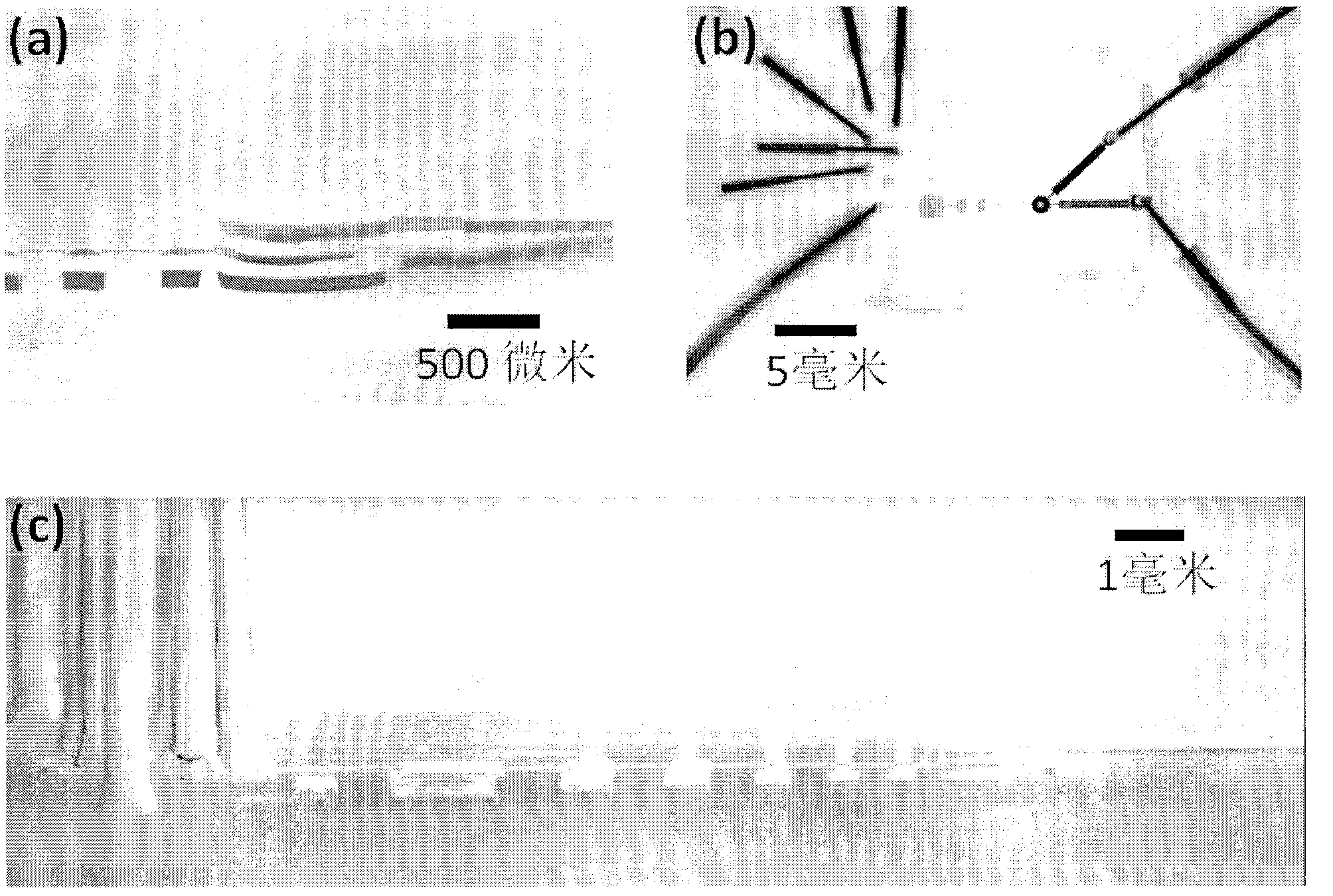 Digital adjustable micromirror chip on basis of microfluidics and preparation method thereof