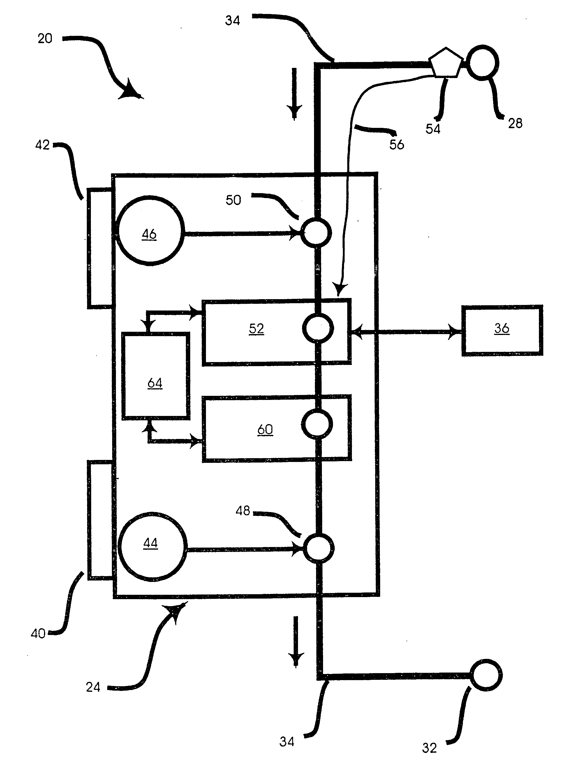 Shunt and access port