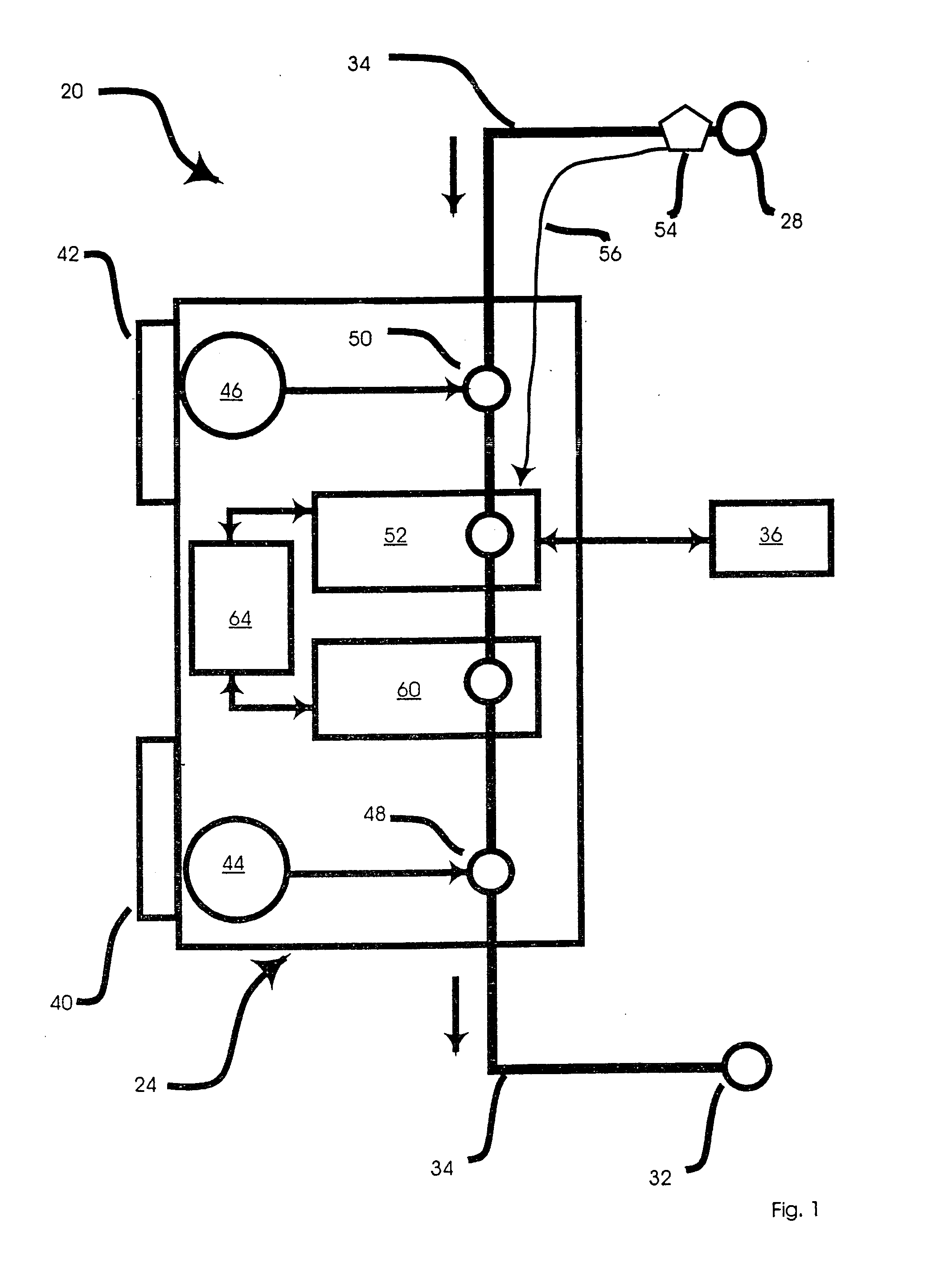 Shunt and access port