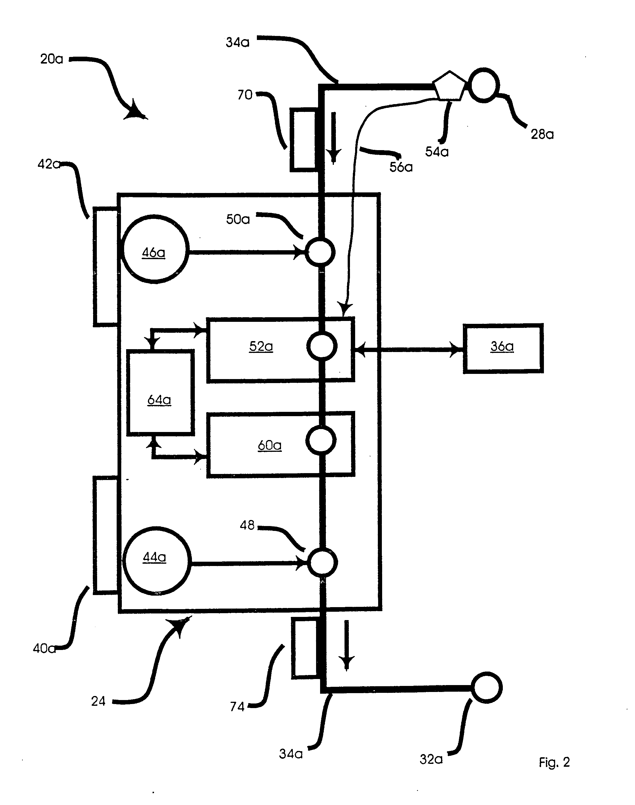 Shunt and access port