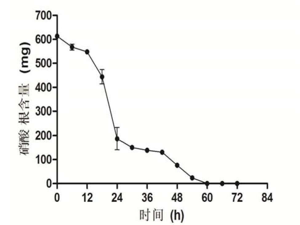 Denitrifying bacteria and aquatic plant-microbe combined repair method using same