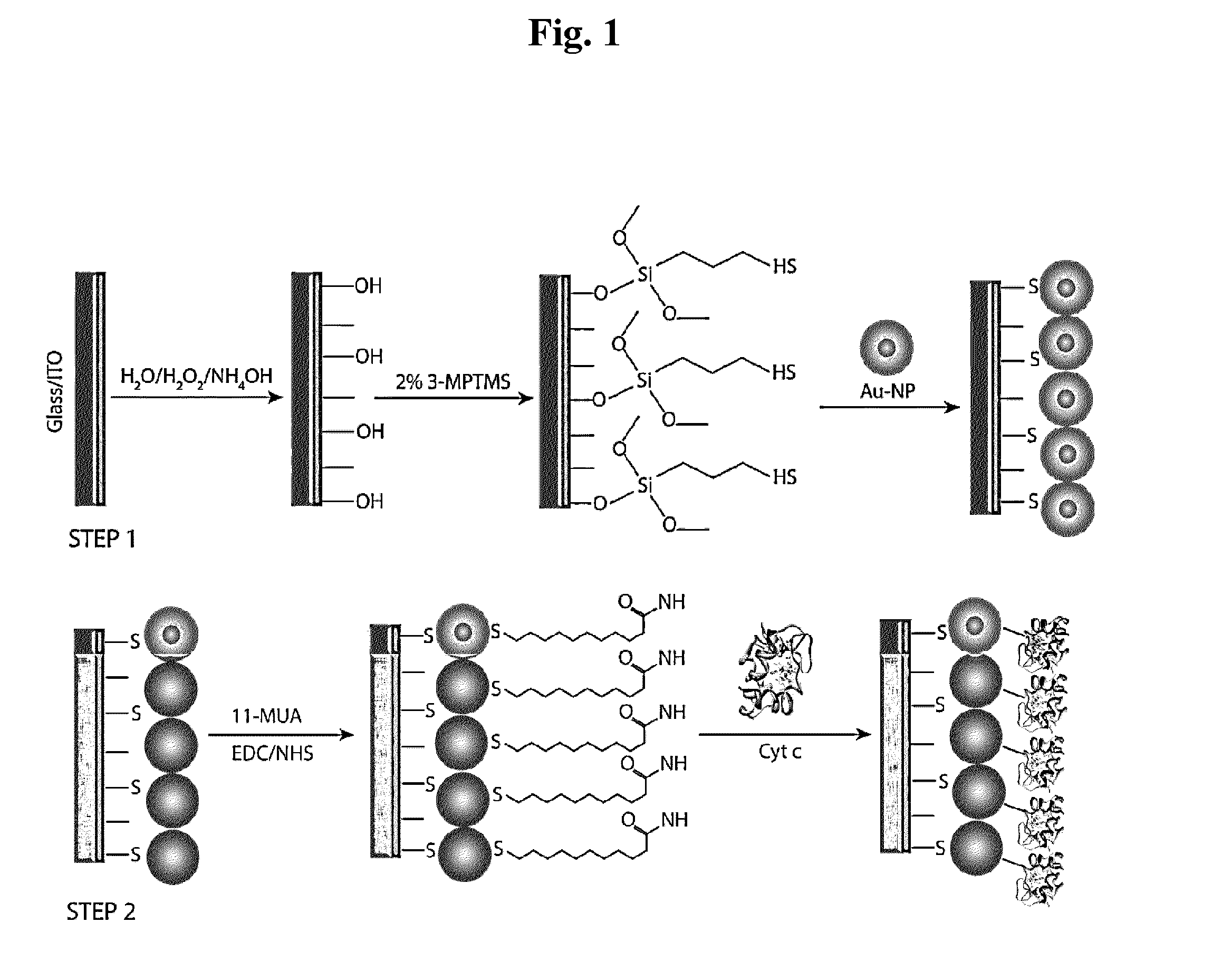 Sensor for detecting hydrogen peroxide