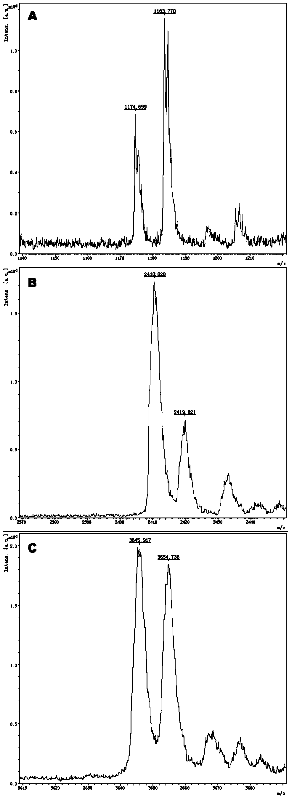 Primer composition for distinguishing individualized medication type of trandolapril