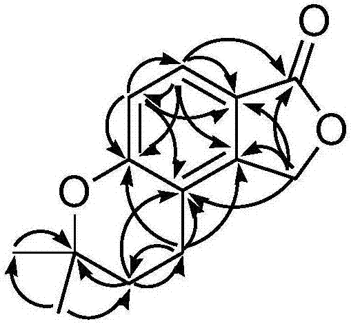 A kind of lactone compound, its preparation method and application