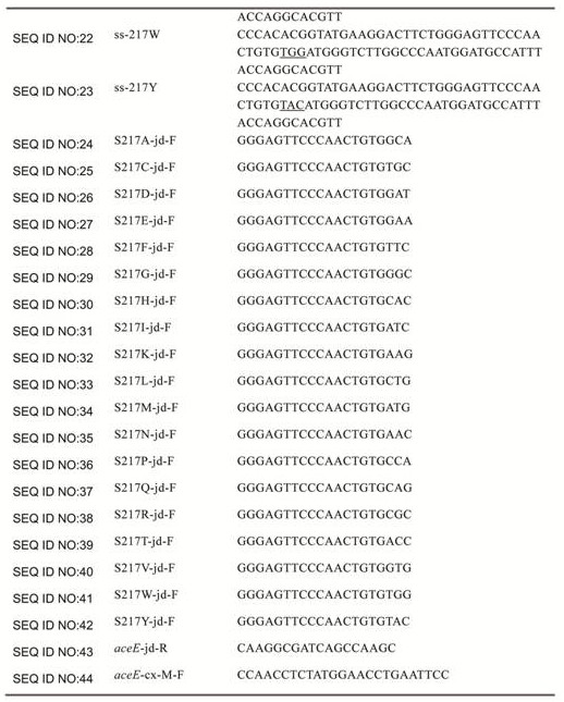 Pyruvate dehydrogenase mutant and method for producing L-amino acid by using mutant