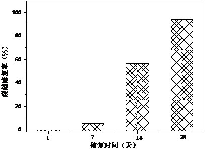 Preparation method and application of cement-based material additive