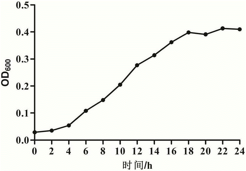 Fruit wine yeast with high yield of glutathione and application of fruit wine yeast