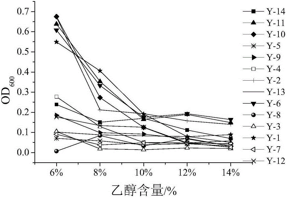 Fruit wine yeast with high yield of glutathione and application of fruit wine yeast