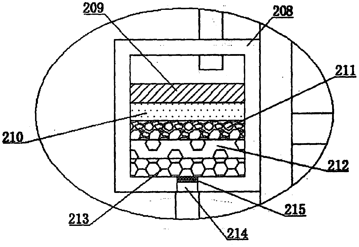 Fish disease prevention and treatment device and method for freshwater fishes in high-temperature season