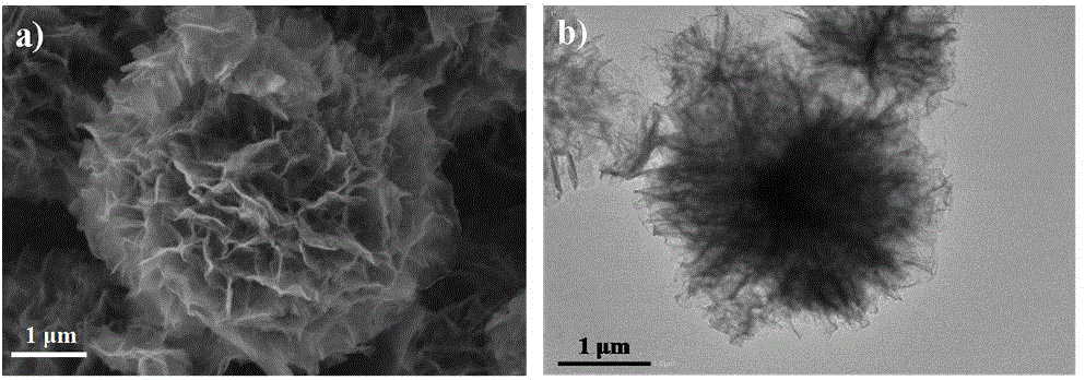 Flowerlike carbon-loaded MoS&lt;2&gt; nano-particle composite and preparation method thereof