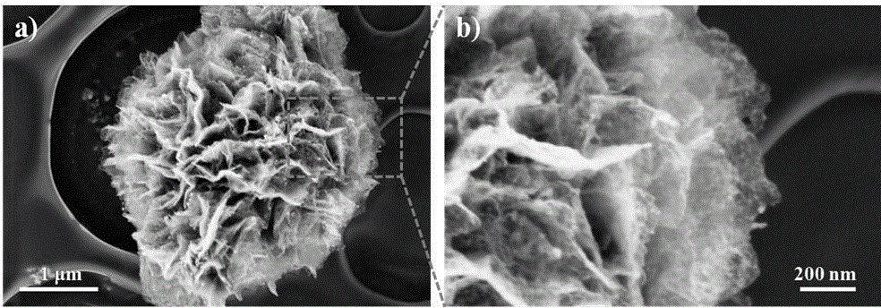 Flowerlike carbon-loaded MoS&lt;2&gt; nano-particle composite and preparation method thereof