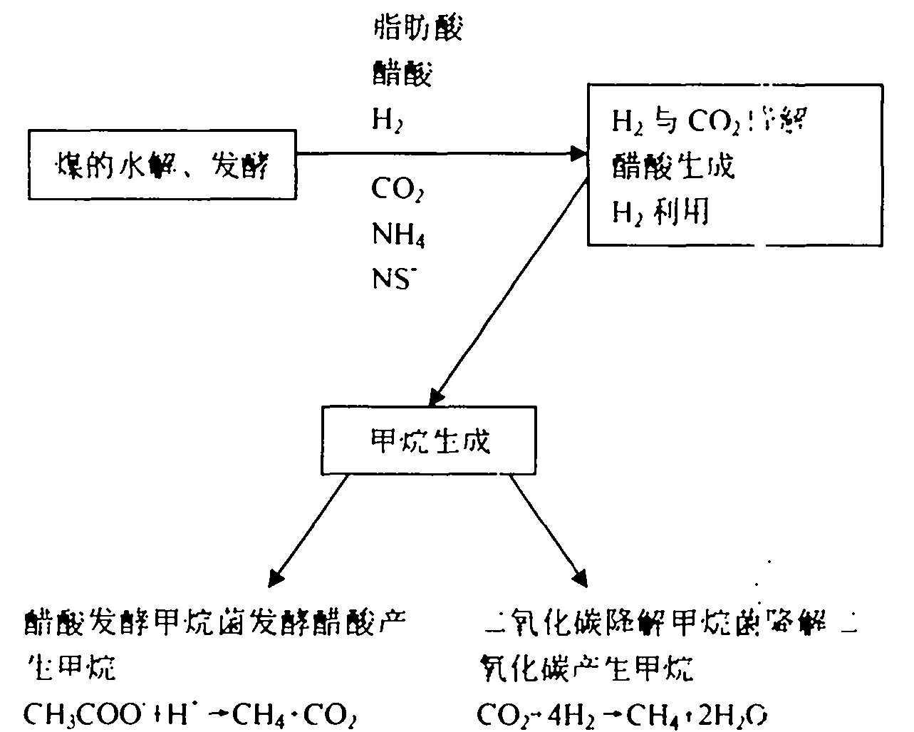 Method for making natural gas by underground coal bed microorganism