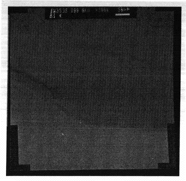 An electrochemical method for the simultaneous determination of rutin and quercetin based on a graphene-modified electrode