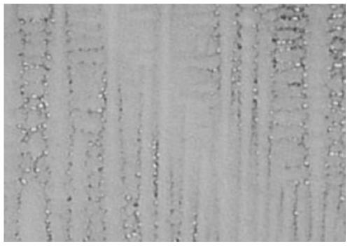 Single-crystal high-temperature alloy thin-wall casting based on secondary orientation control and preparation method thereof