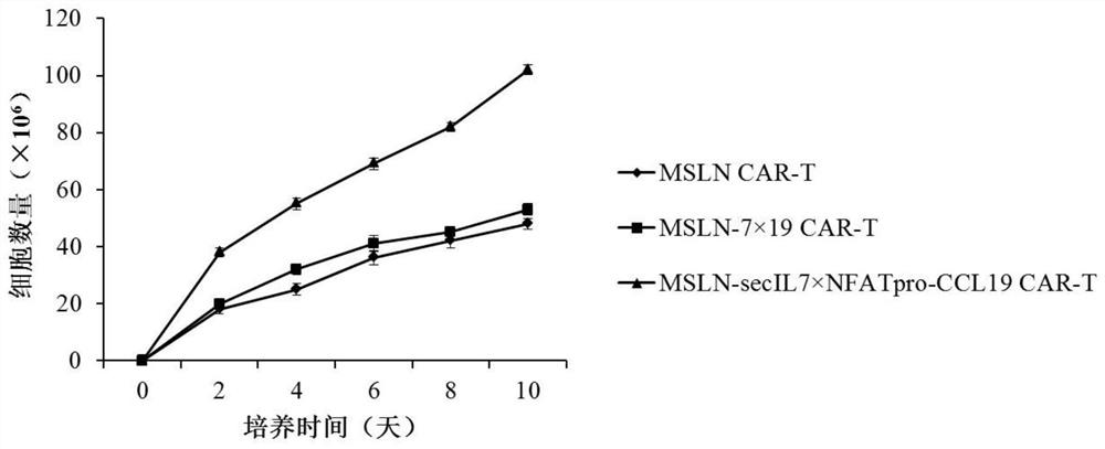 Expression vector for co-expressing secretory IL-7 and selective CCL19 and application of expression vector