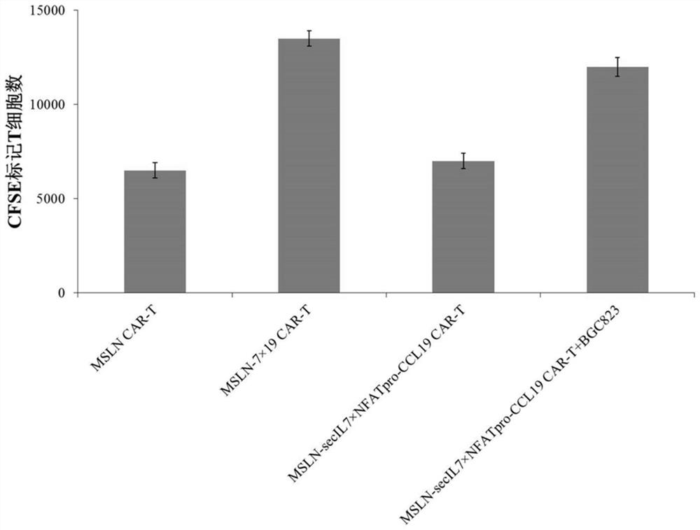 Expression vector for co-expressing secretory IL-7 and selective CCL19 and application of expression vector