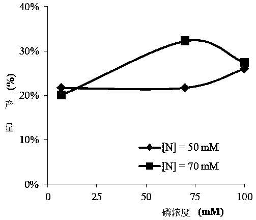 Purification method of crude glycerine obtained from kitchen waste and application thereof