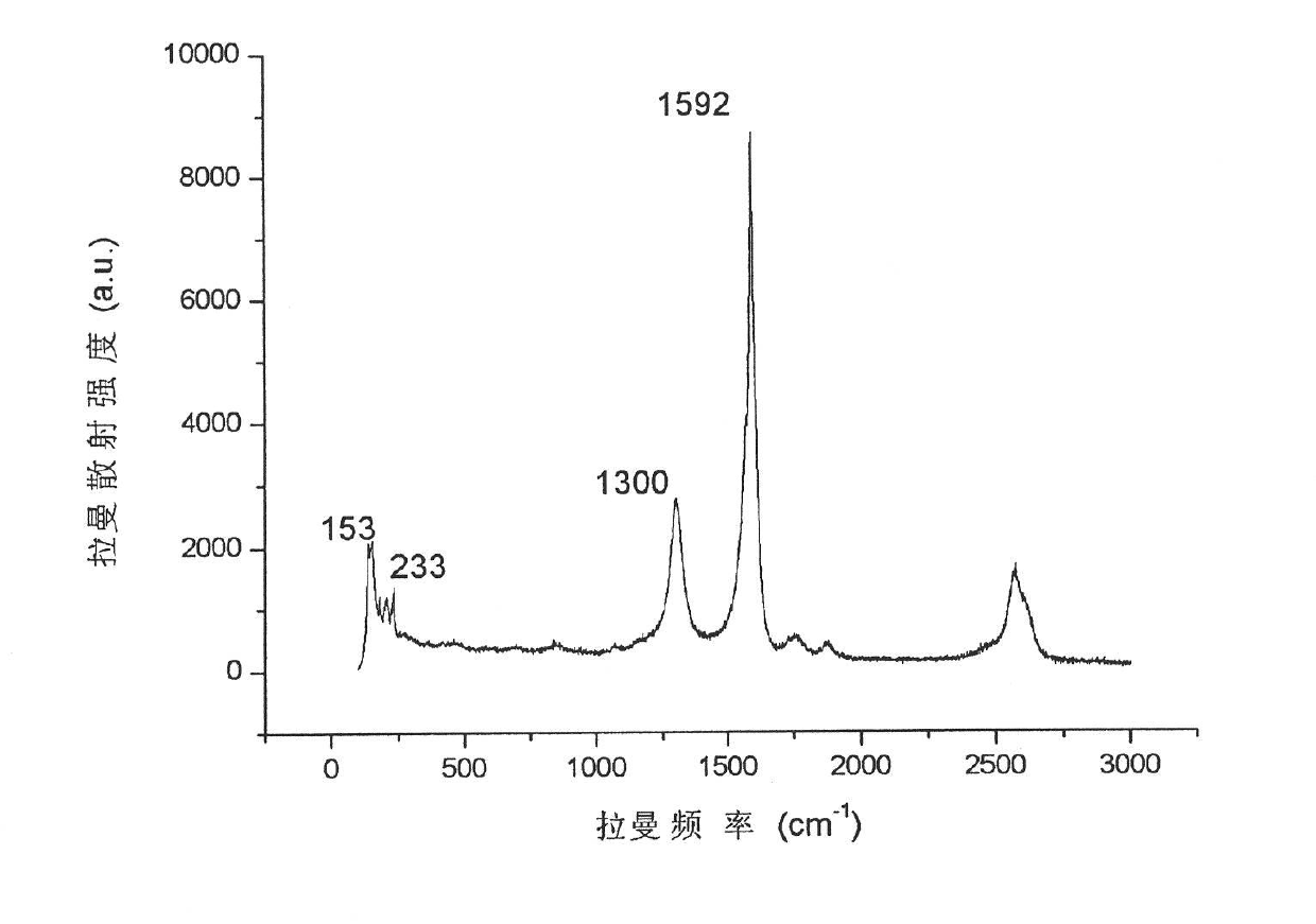 Method of preparing single-wall carbon nanotube loaded with noble metal nanoparticle