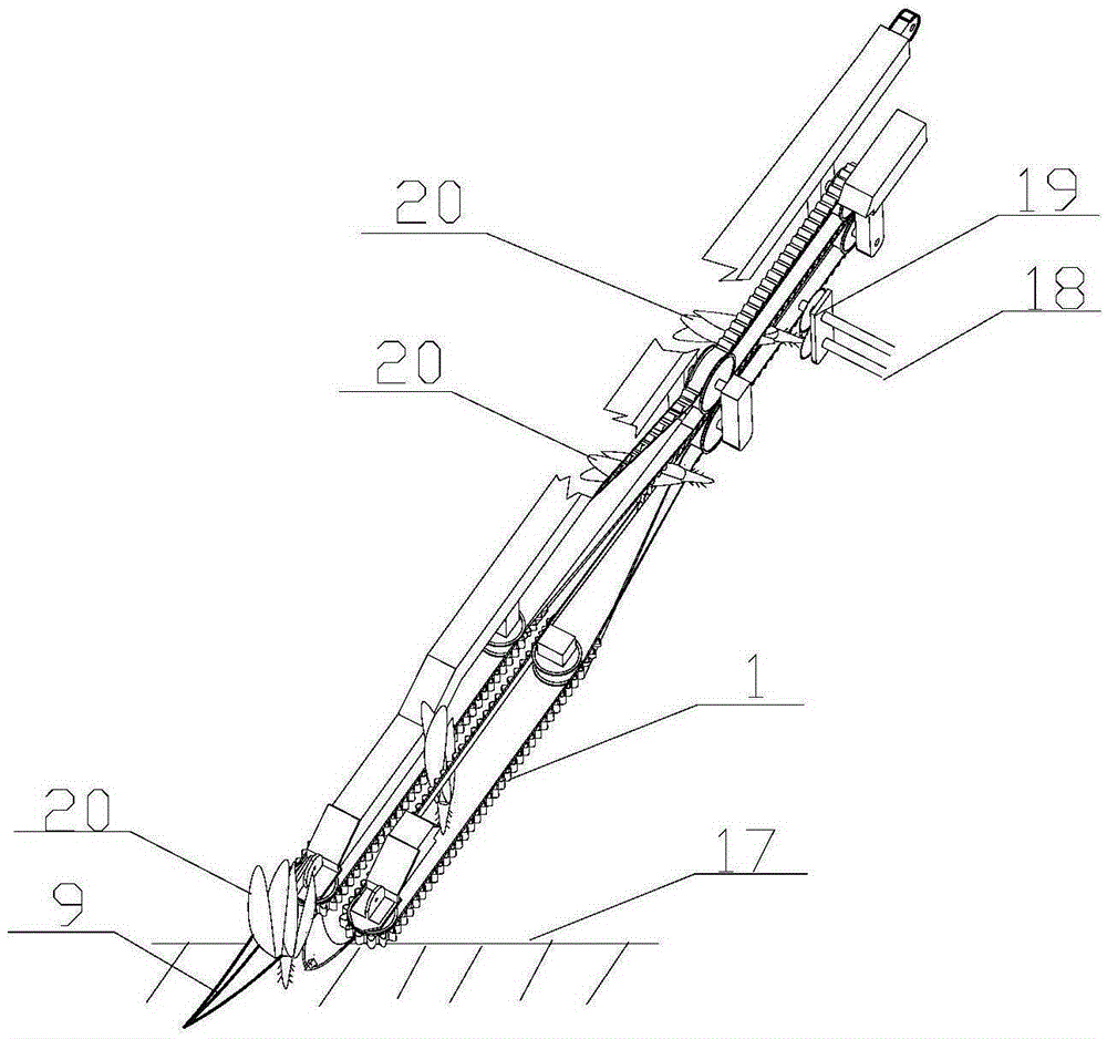 Reaping apparatus and reaping method for continuously reaping whole plants of green vegetables