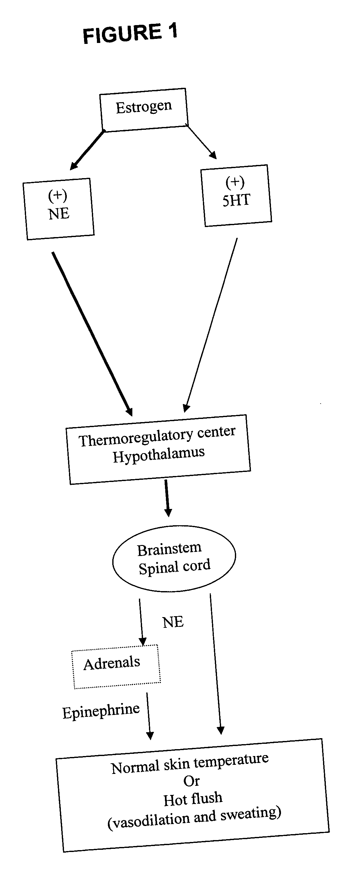 Fused-aryl and heteroaryl derivatives and methods of their use