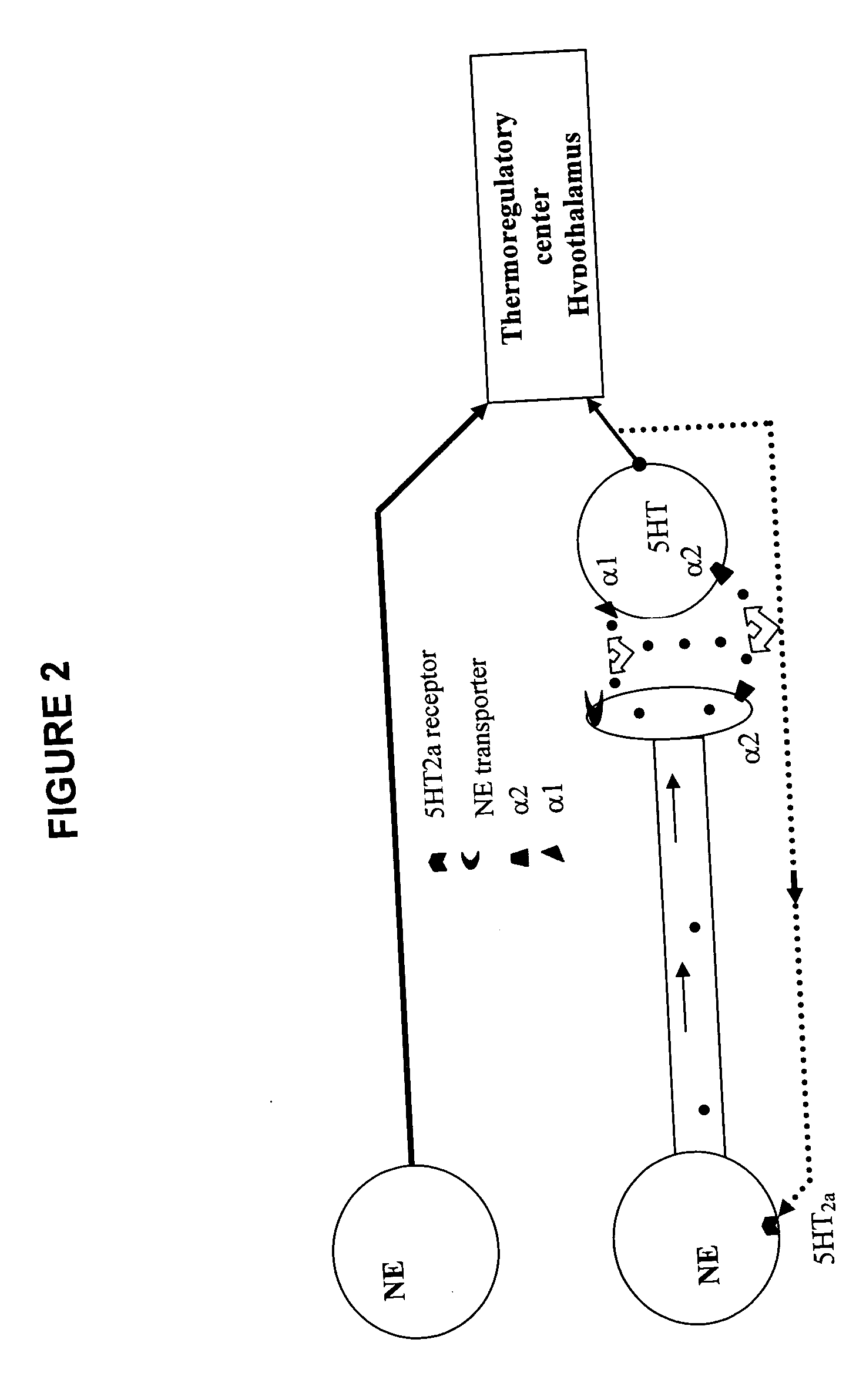 Fused-aryl and heteroaryl derivatives and methods of their use