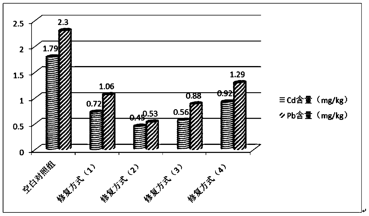 Passivator for Cd and Pb pollution in farmland soil and preparation method and restoration method of passivator