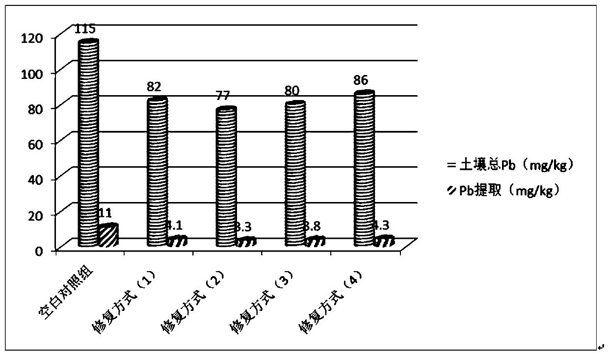 Passivator for Cd and Pb pollution in farmland soil and preparation method and restoration method of passivator