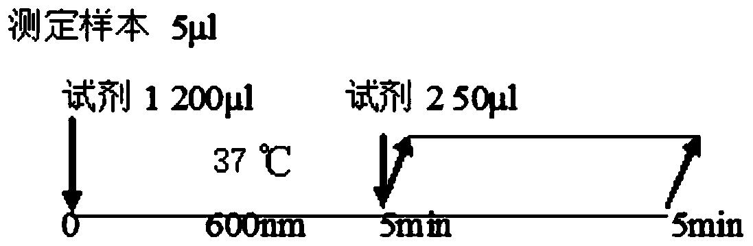 Detection method and kit for quantitatively detecting anti-cyclic guanidine polypeptide antibody