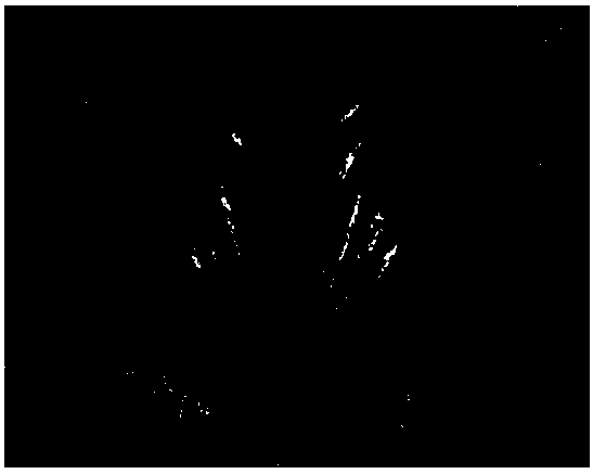 Low-frequency wavelet coefficient interpolation image equalization enhancement method