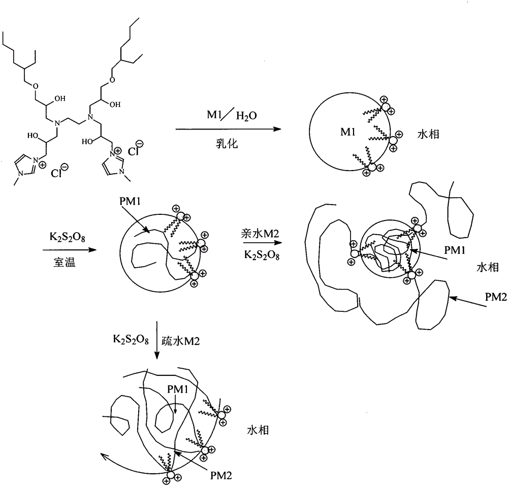 Gemini type cationic surface active initiator and preparation method thereof