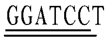 Gene GmCTRL2 used for improving osmotic stress resistance of alfalfa, preparation and protein coded by gene GmCTRL2