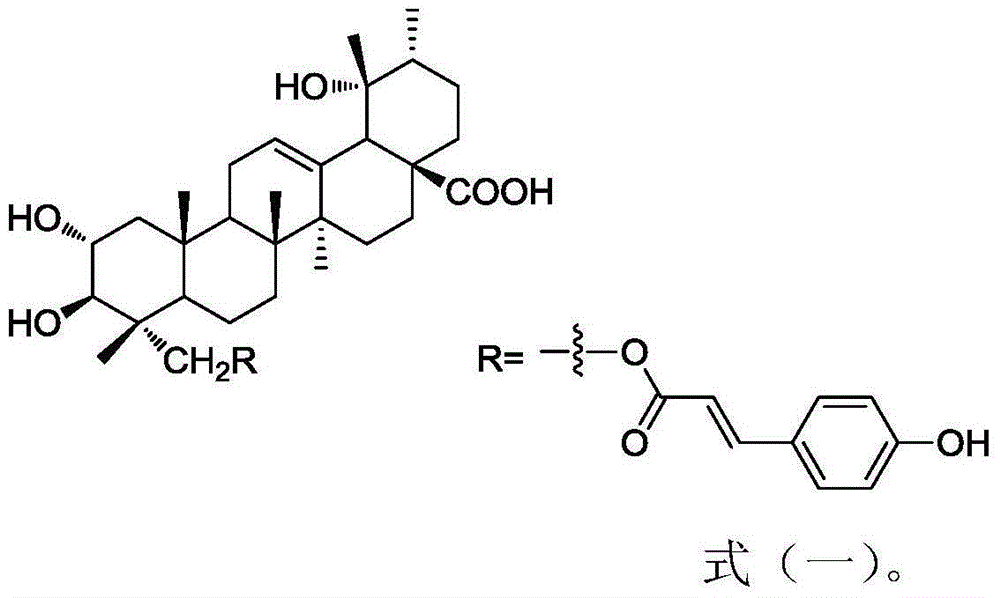 Application of 23-trans-para-coumaroyl tormentic acid compound