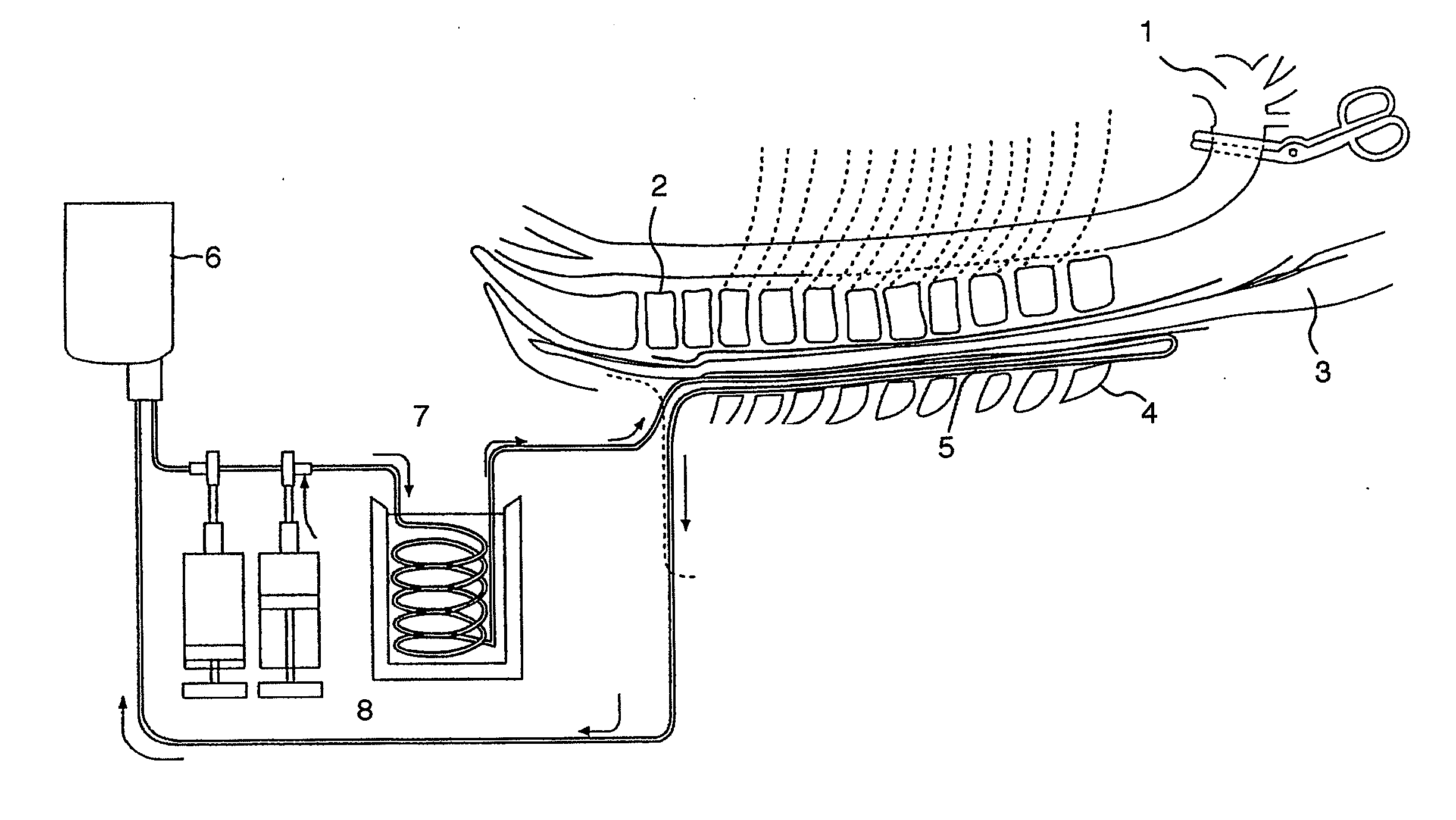 Catheter for Topical Cooling and Topical Cooling Device using the same