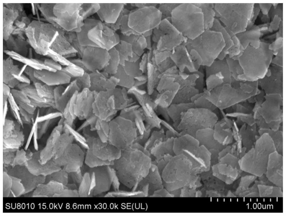 A kind of porous sheet tinb for negative electrode of lithium ion battery  <sub>2</sub> o  <sub>7</sub> Preparation methods of nanocrystals