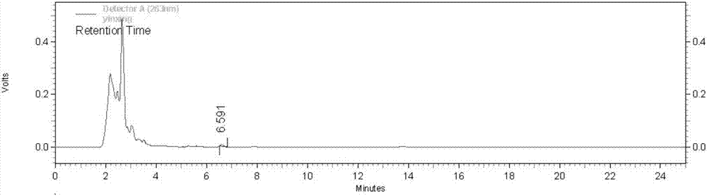 Transdermal-absorption preparation containing compound cortex phellodendri liquid and preparing method and application of transdermal-absorption preparation