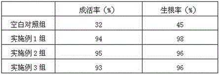 Rooting agent containing ferric citrate and preparation method thereof