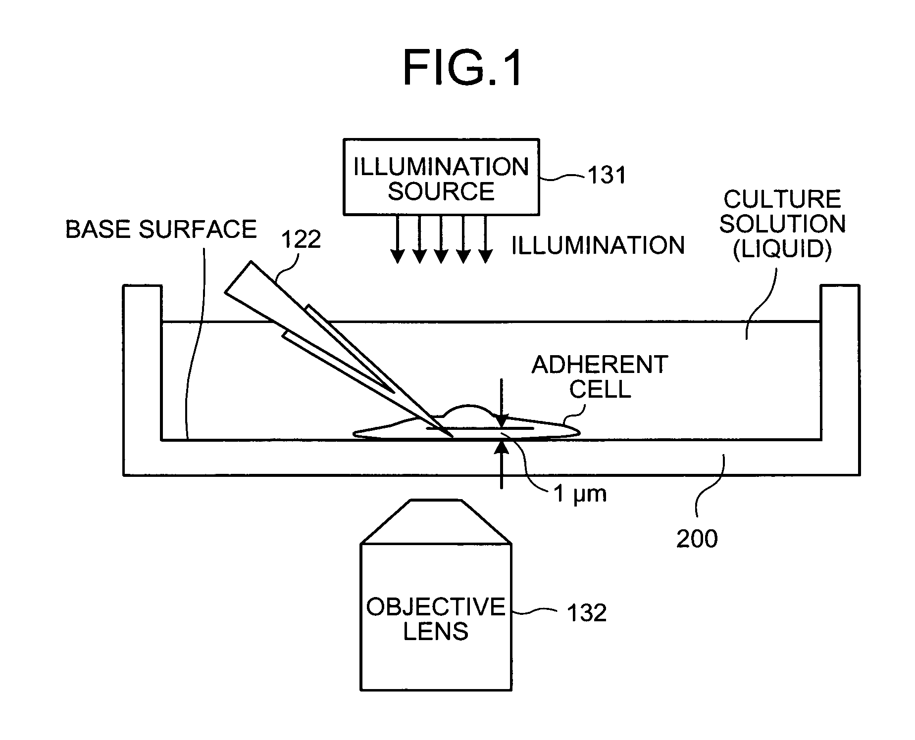 Microinjection apparatus and microinjection method