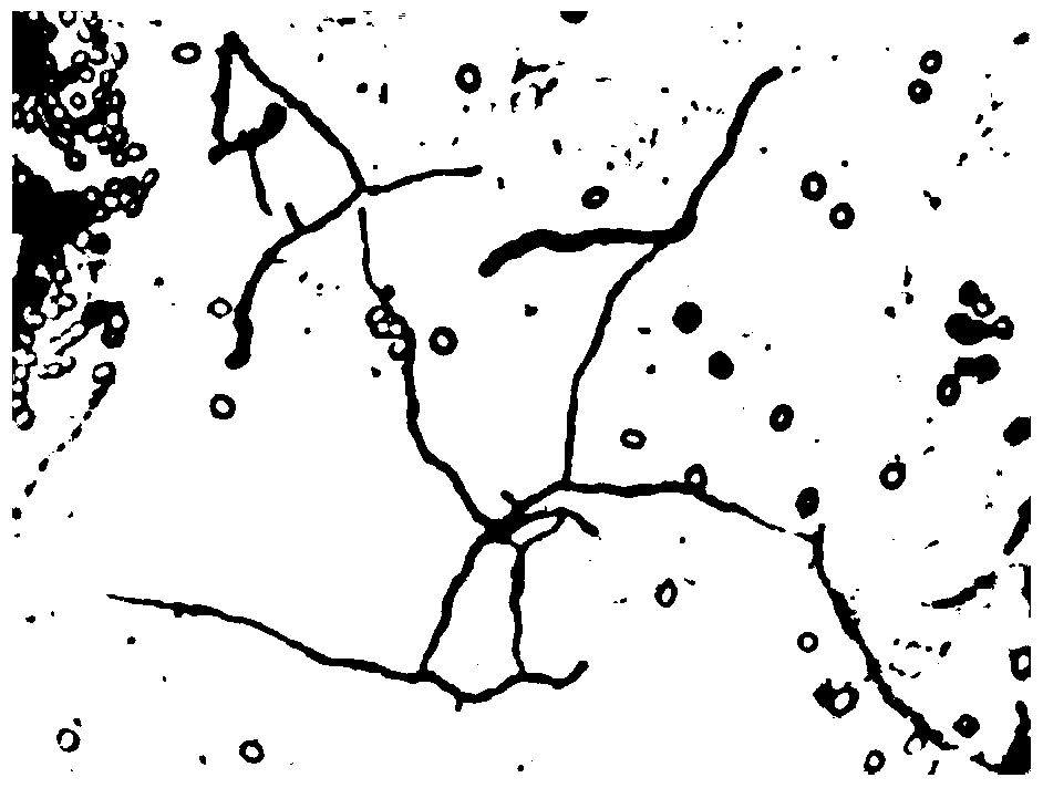 Streptomyces lutetsis lt-2 producing keratinase and its application method