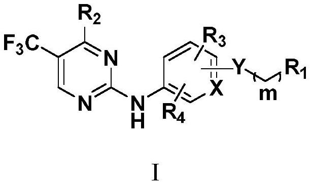 N2-substituted alkoxy aromatic cyclo-2-aminopyrimidine derivative and application thereof